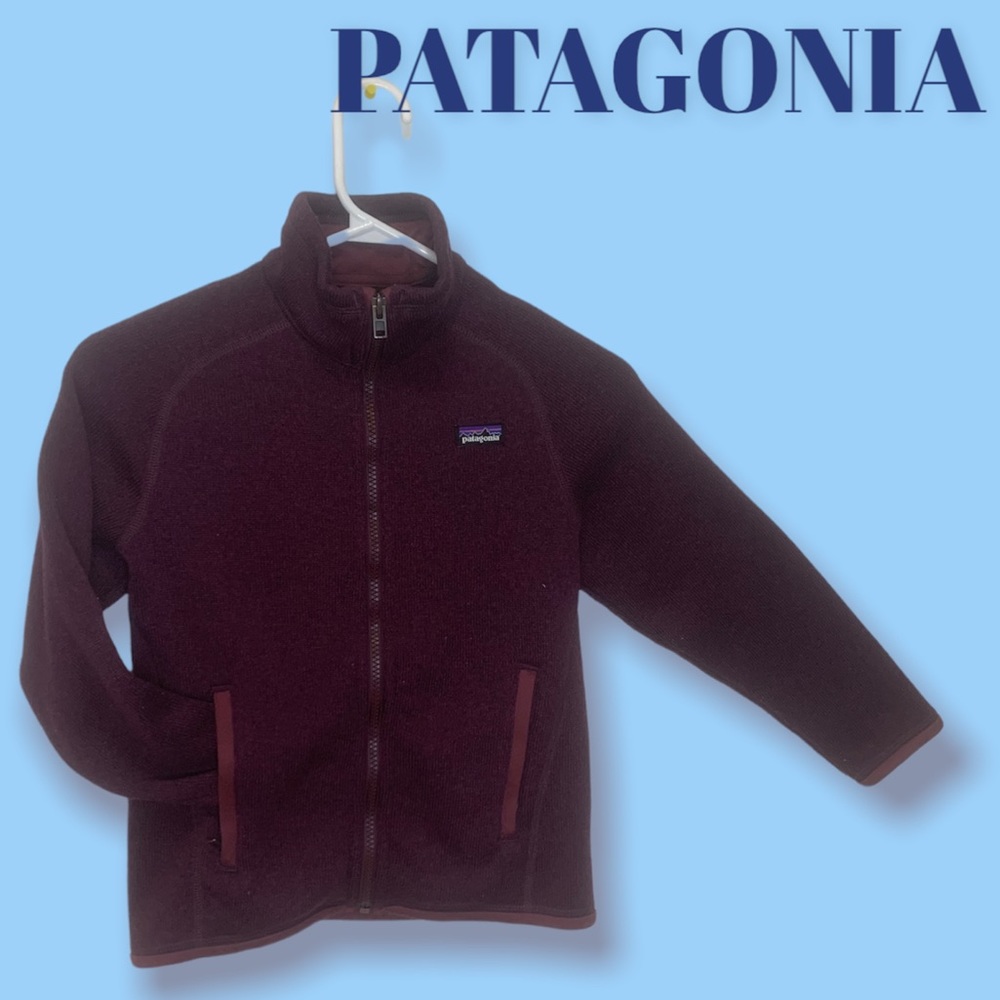 Patagonia Kids Burgundy Sweater
